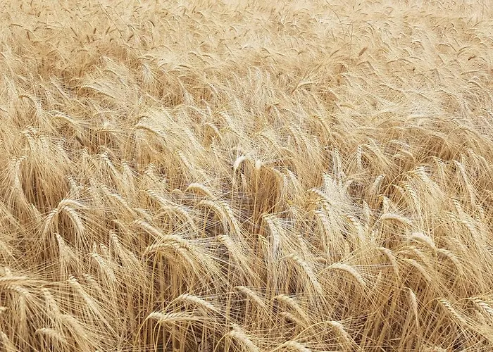 Artbnb Kwatera prywatna Lezat-sur-Leze