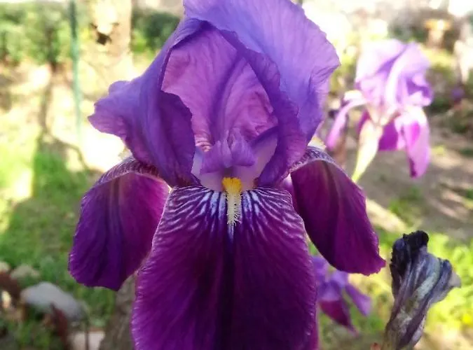 Kwatera prywatna Artbnb *