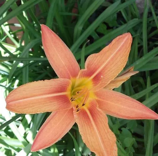 Artbnb Kwatera prywatna