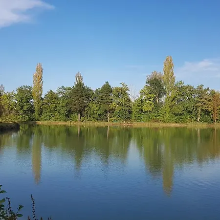 Homestay Artbnb Lezat-sur-Leze