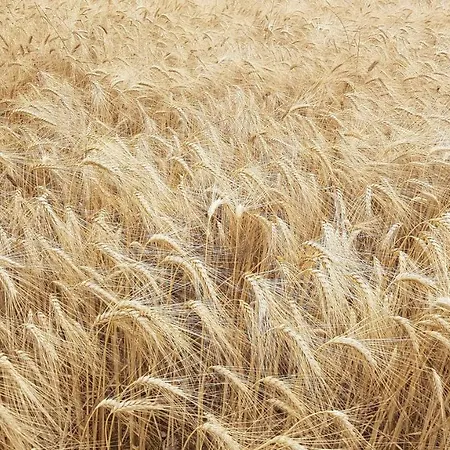 Artbnb Kwatera prywatna Lezat-sur-Leze