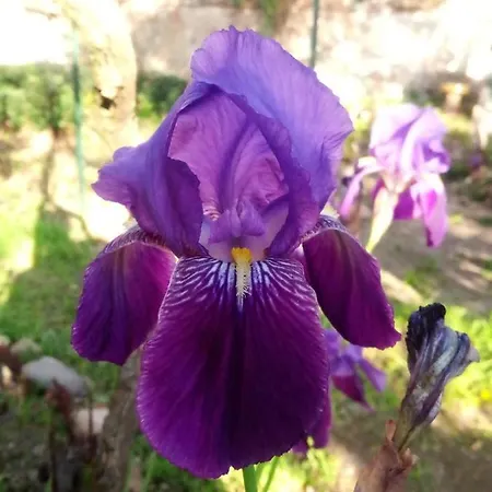 Kwatera prywatna Artbnb *