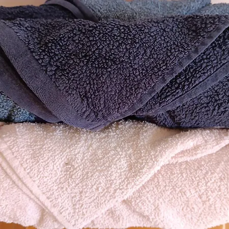 Homestay Artbnb Lezat-sur-Leze