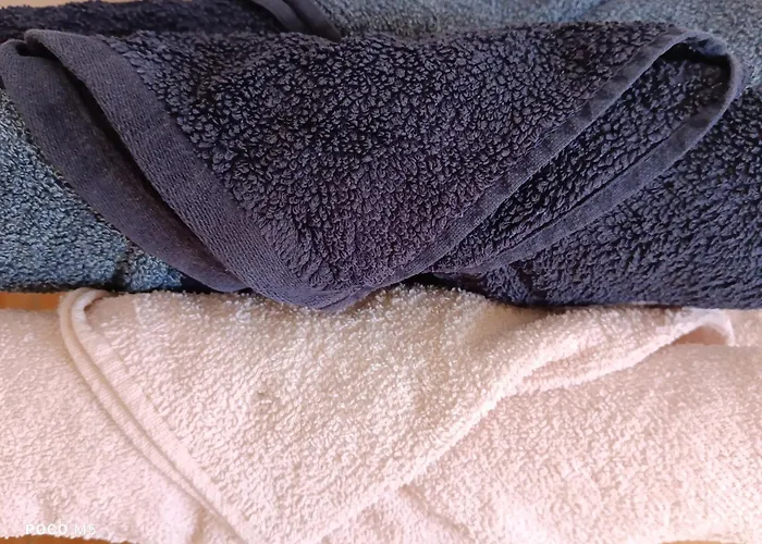 Проживание в семье Artbnb Lezat-sur-Leze